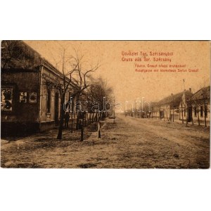 1907 Torontálszécsány, Setschan, Secanj; Fő utca Graszl István áruházával, üzlet. W.L. 1080. ...
