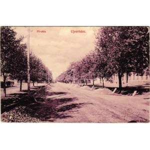 1908 Újverbász, Novi Vrbas (Verbász, Vrbas); Fő utca / main street (EK)