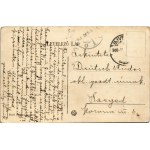 1908 Újverbász, Novi Vrbas (Verbász, Vrbas); Fő utca / main street (EK)