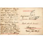1910 Újvidék, Novi Sad; Kossuth Lajos utca, piac, Pesti Magyar kereskedelmi bank, Vegytisztító gyár, Jovicsin M....