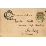 1903 Verbász, Vrbas; Erzsébet liget, kilátótorony. Seidl Nándor kiadása / park, lookout tower (EK...