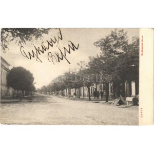1914 Zenta, Senta; Szabadkai utca. Kragujevits Szabbás kiadása / street (EK)