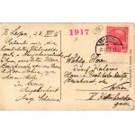 1916 Ceská Lípa, Böhmisch Leipa; Marktplatz mit Rathaus, Deutsche Volksbank, Sigmund Stransky, Raimund Ikrath ...