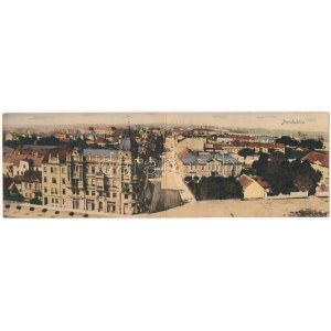 Pardubice, Pardubitz; Z. Hostovsky, Panorama. 2-tiled folding panoramacard