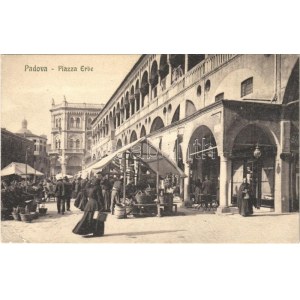 Padova, Piazza Erbe / fruit market