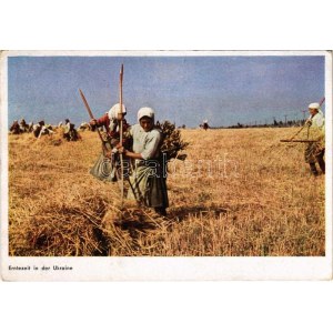 1944 Ukraine, Erntezeit / Betakarítás / harvest time
