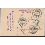 1911 TCV képeslap Turul 5f bélyeggel Holland Guyanába, Surinameba küldve, érvénytelenített T portóbélyegzéssel ...