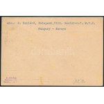 1932 Katapult légi levél Budapestről Kölnön át, majd a Colombus hajón New Yorkba / Catapult postcard from Budapest...
