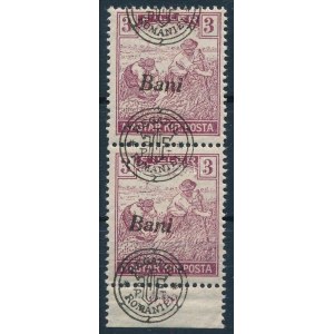 Nagyvárad 1919 Arató 3f ívszéli függőleges párban a felülnyomás eltolódásával / pair with shifted overprint. Signed...