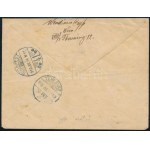 1918 július 14. Légi levél Bécsből Temesvárra / Airmail cover from Vienna to Hungary.
