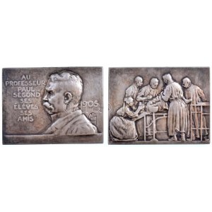 Franciaország 1905. Paul Segond professzornak, tanítványaitól és barátaitól ezüstözött bronz emlékérempár tokban...