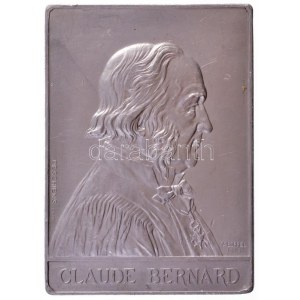 Franciaország 1913. Claude Bernard - fiziológus kétoldalas Al plakett. Szign.:A. Borrel (110x80mm) T:2,2- ph, karc ...