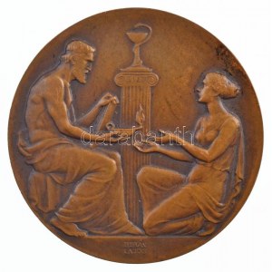 Berán Lajos (1882-1943) 1931. I. Nemzetközi Stomatológiai Kongresszus Budapest kétoldalas bronz emlékérem (45mm) T:1...