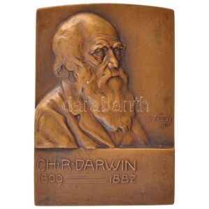Sződy Szilárd (1878-1939) 1910. Charles Darwin 1809-1882 egyoldalas Br plakett, hátoldalán B.S.W. ...