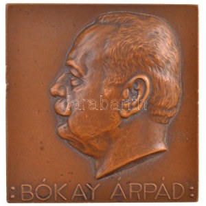Vágó Dezső (1882-1945) DN Bókay Árpád (belgyógyász) / Sic vos non vobis (Akárcsak te) kétoldalas Br plakett (64x62mm...