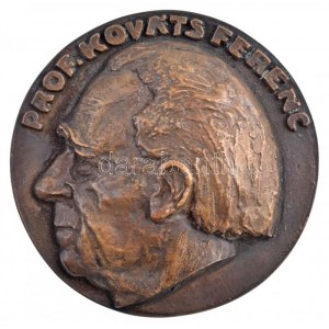 DN Prof. Kováts Ferenc  egyoldalas, öntött bronz plakett (135mm) T:1- / Hungary ND Prof. Ferenc Kováts one...