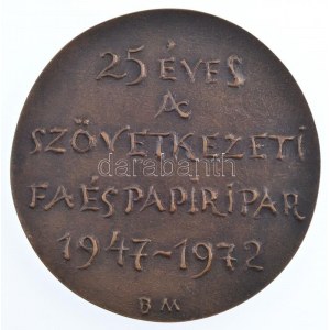 Borsos Miklós (1906-1990) 1972. 25 éves a Szövetkezeti Fa és Papíripar kétoldalas, öntött bronz emlékérem (83mm) T:1...