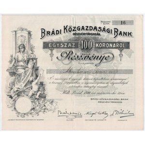 Brád 1910. Brádi Közgazdasági Bank Részvénytársaság névre részvénye 100K-ról, szelvényekkel, szárazpecséttel T:II ...