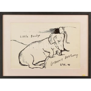 David Hockney (1937-): Little boodge. Litográfia, papír. Jelzett. Kisebb törésnyomokkal. Üvegezett fakeretben. 27×40...