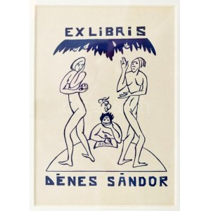 Boromisza Tibor (1880-1960): Ex libris Dénes Sándor (1910 körül). Klisényomat, papír, jelzett a nyomaton. 14x10 cm...