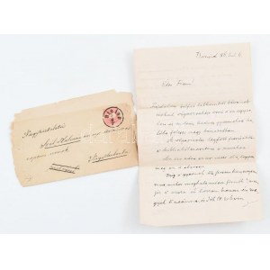 1886 Szél György (1834-1891) bárándi lelkész autográf levele fiának, Szél Kálmán nagyszalontai esperesnek, lánya...