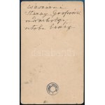 1898 Genf, Erzsébet királyné (Sisi) Sztáray Irma társaságában, hátoldalon feliratozva, ...