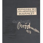 1918 Dunaünnapély! Komáromban, hadiárvák javára, litografált plakát, Bródmann grafikája, Kunossy nyomdából...