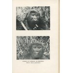 JOHNSON Martin - Congorilla. Kraina karłów i goryli [1938] [oprawa wydawnicza]
