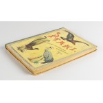 SCHLEYER August - Atlas of birds [1914] [30 chromolithographs] [publisher's binding].