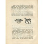 SCHLEYER August - Vogelatlas [1914] [30 Chromolithographien] [Verlagseinband].