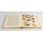 SCHLEYER August - Atlas ptaków [1914] [30 chromolitografii] [oprawa wydawnicza]
