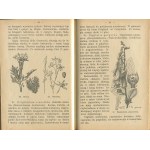 BIEGAŃSKI Jan - Podręcznik dla zbiejących zioła lekarskie dla użytku aptecznego [1914].