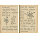BIEGAŃSKI Jan - Podręcznik dla zbiejących zioła lekarskie dla użytku aptecznego [1914].