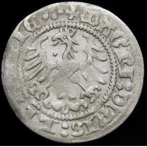 Sigismund I. der Alte, halber Pfennig 1513, Vilnius - Kugel vom Adler - sehr selten