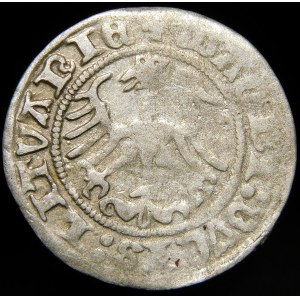 Sigismund I. der Alte, Halbpfennig 1513, Vilnius - Ring über dem Pogon - selten