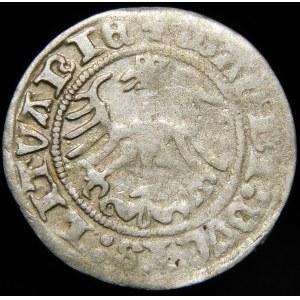 Sigismund I the Old, Half-penny 1513, Vilnius - Ring over Pogonia - rare