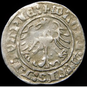 Sigismund I. der Alte, Halbpfennig 1515, Vilnius - schräger Doppelpunkt, Doppelpunkt - selten