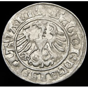 Zygmunt I Stary, Półgrosz 1512, Wilno - dwukropek