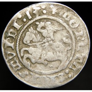 Sigismund I the Old, Half-penny 1513, Vilnius - Ring under the Pogon - rare