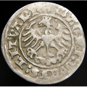 Sigismund I the Old, Half-penny 1513, Vilnius - Ring under the Pogon - rare