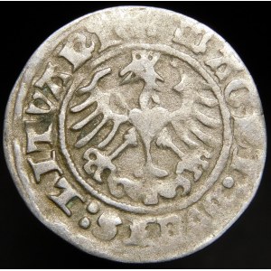 Zikmund I. Starý, půlpenny 1513, Vilnius - Prsten pod Pogonem - vzácný