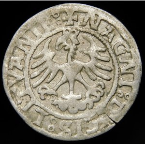 Sigismund I the Old, Half-penny 1521, Vilnius - SIGISMVNIE error, NAGNI- very rare.