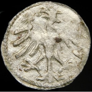 Alexander Jagiellonian, Vilnius denarius - Renaissance A - rarer