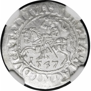 Sigismund II Augustus, Half-penny 1547, Vilnius - LI/LITVA - DVCA/TT punch - very rare.