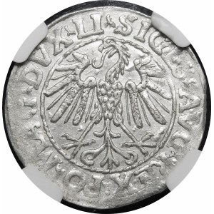Zygmunt II August, Półgrosz 1547, Wilno - LI/LITVA - przebitka DVCA/TT - b. rzadki