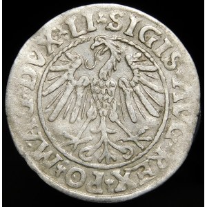 Sigismund II Augustus, Half-penny 1547, Vilnius - LI/LITVA