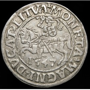 Žigmund II August, polgroš 1547, Vilnius - LI/LITVA - krásna