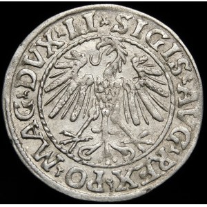 Zygmunt II August, Półgrosz 1547, Wilno - LI/LITVA - piękny