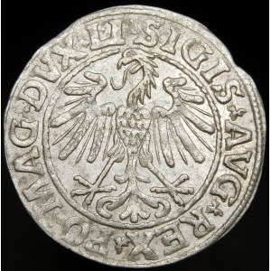 Zygmunt II August, Półgrosz 1547, Wilno - LI/LITVA - mniejsze A - rzadki