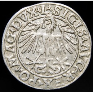 Zygmunt II August, Półgrosz 1548, Wilno - arabska 1, L/LITVA - rzadszy i piękny